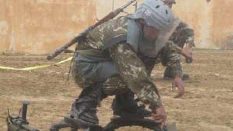 الجيش دمر 75 بالمائة من ألغام الاستعمار الفرنسي