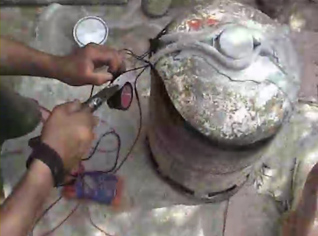 Algiers criminal court starts hearing terrorist group members