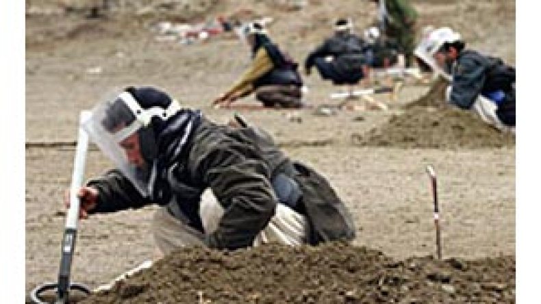 قضية الـ2500 لغم تكشف تنسيق نشطاء “القاعدة” بين الجزائر والمغرب