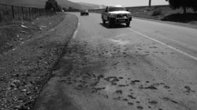 انتحاري “الدراجة النارية” حديث التجنيد