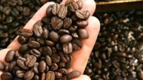 الجزائر مهددة بندرة في القهوة والسكر
