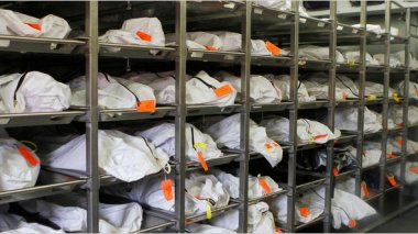 Spanish Forensics Identify Bodies of 5 Algerian Illegal Migrants