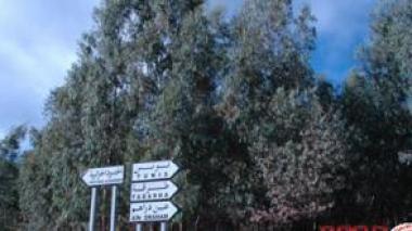 Tunisian illegal trading ring dismantled in eastern Algeria