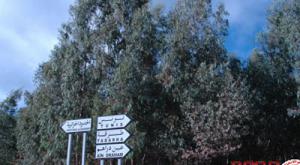 Tunisian illegal trading ring dismantled in eastern Algeria