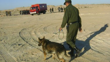 Algeria sets up urgent plan to secure borders with Libya