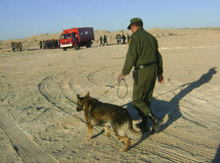 Algeria sets up urgent plan to secure borders with Libya