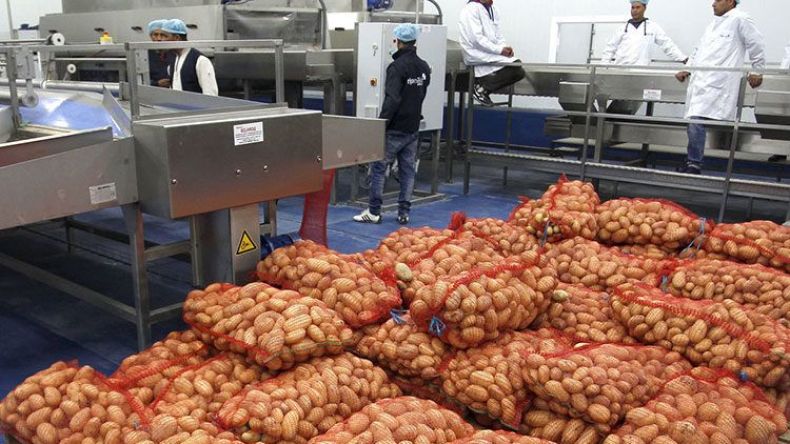 Bouazghi: «L’Algérie triplera ses exportations agricoles d’ici trois ans»