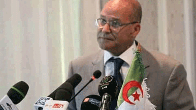 بوعزقي: الإستثمار في مجال الفلاحة بدأ يُعطي ثماره