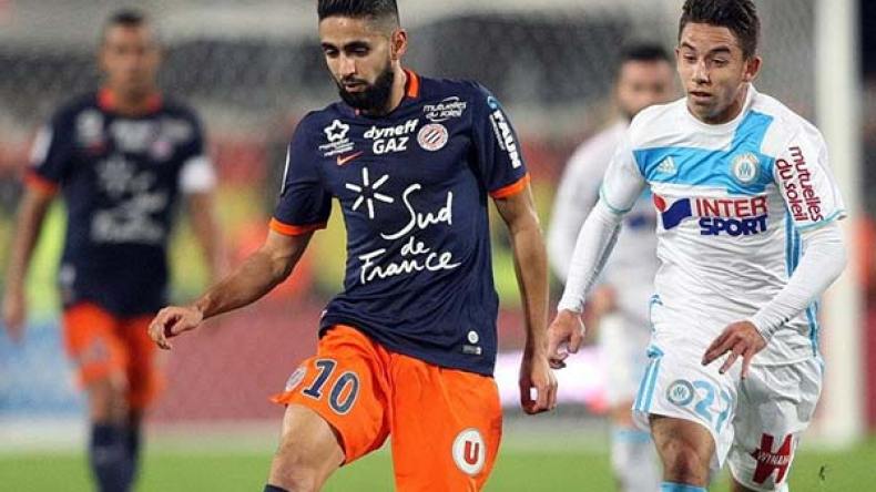 بودبوز ضمن مثالية فرنسا