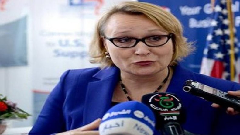 بولاشيك: واشنطن تقدر الدور الرئيسي للجزائر إقليما