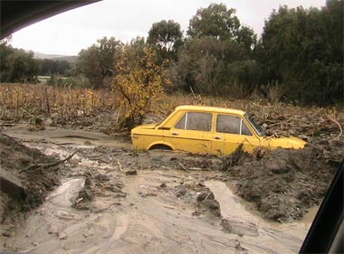 Intempéries à Sidi Aïssa : 180 maisons inondées par les eaux en furie