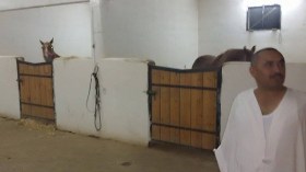 مغترب يقيم مرفقا للسياحة وتعلم الفروسية ببوسعادة