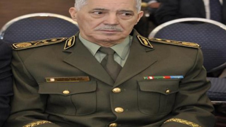 تنسيق جزائري قطري لمكافحة الإجرام وحماية الأشخاص والممتلكات