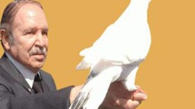 مبادرة جديدة بـ15 إجراء لاستكمال المصالحة الوطنية