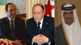 بوتفليقة يتباحث هاتفيا مع الرئيس المصري وأمير قطر بخصوص الأوضاع في غزة