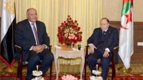 وزير الخارجية المصري: مصر والجزائر تواجهان تحديات مشتركة