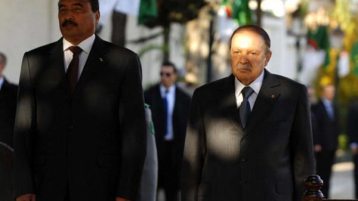 حرب العزيزين في نواقشط والجزائر؟