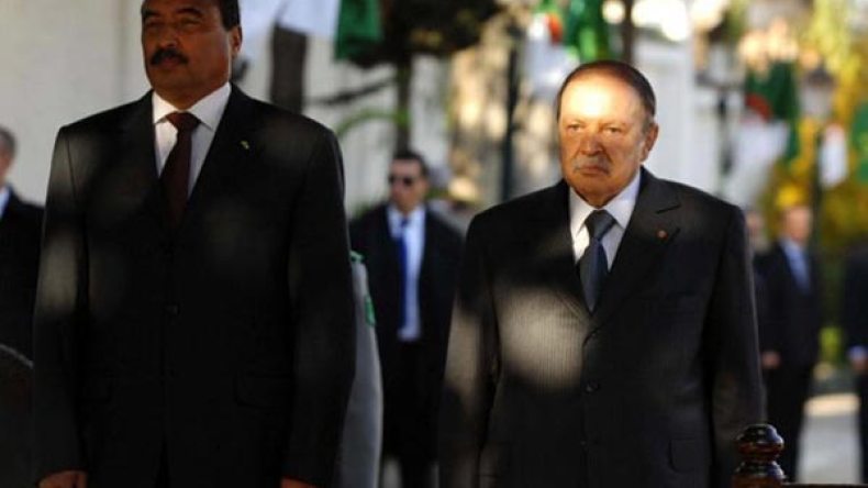 حرب العزيزين في نواقشط والجزائر؟