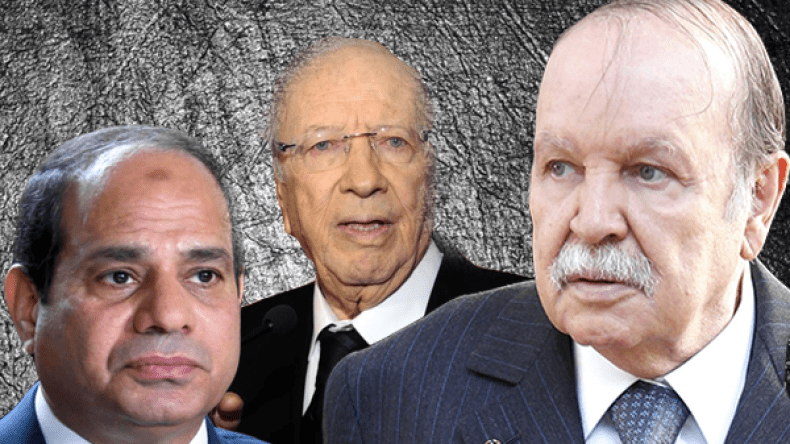 قمة جزائرية تونسية مصرية حول ليبيا