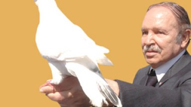 National reconciliation plan needs complementary procedures: Official says