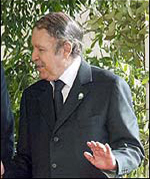 Environmental risks make Africa poorer: Bouteflika