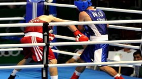 بطولة العالم للملاكمة الاحترافية: بولودينات يفوز بالقاضية على الأمريكي جافونتا