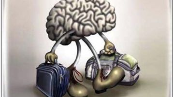 هناك أدمغة مهاجرة في الداخل!