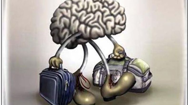 هناك أدمغة مهاجرة في الداخل!