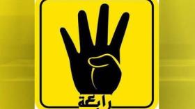 مصري بطل عالمي في الكونغ فو يتحدّى العسكر وينتصر لـ مرسي