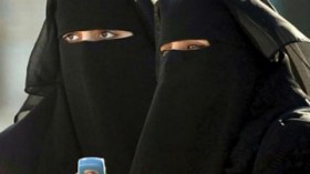 مجلس  مسلمي  فرنسا  يدعم  قرار  مجلس  الشيوخ  المتعلق  بقرار  حظر  النقاب