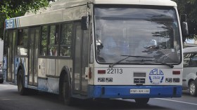 من ضحايا الاستبداد