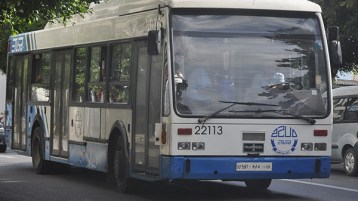 من ضحايا الاستبداد