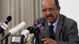 مساهل: العنصرية والإسلاموفوبيا وجهان جديدان للتطرف