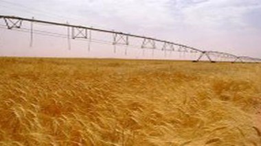 Un objectif de 600.000 hectares de céréales irrigués en appoint d’ici à 2014