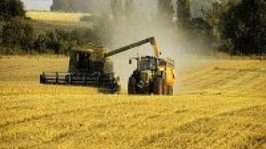 Appels d’offres pour réaliser une quarantaine de silos de stockage de céréales (OAIC)