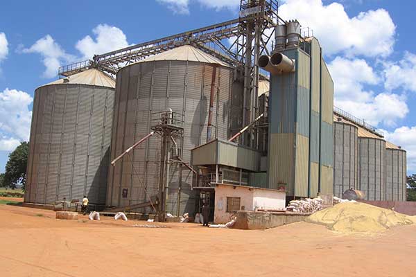 Disparition énigmatique de 60 tonnes de céréales