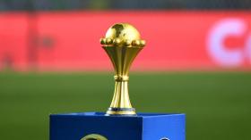 الخيول والفيلة الوطنية تلتحق بِقافلة “كان” 2022