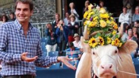 إهداء بقرة “تسرّ الناظرين” إلى كوكب التنس فيدرر!