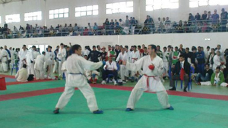 تحكيم مهترل يضعف مستوى المصارعين