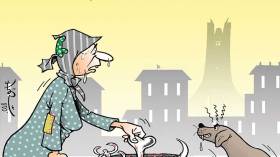 فضلات المنازل