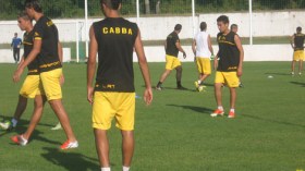 الجراد الأصفر يستعد “للسنافر” عبر بوابة اتحاد البرج