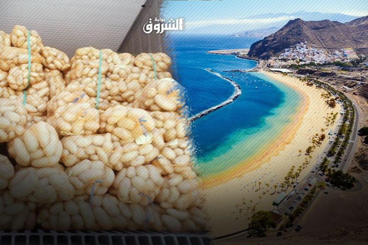 Projected Export of Potatoes From Oued Souf Province Towards The Canary Islands