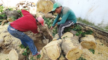 Cache of the Colonial French Secret Army found in Algiers