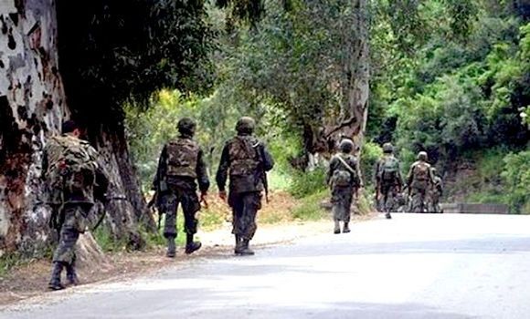 Trois casemates pour terroristes découvertes à Tizi Ouzou et Jijel