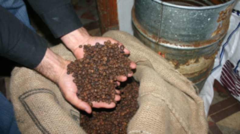 إدمان الجزائريين على القهوة يكلفهم 2287 مليار