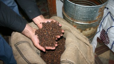 Les algériens boivent pour 2287 milliards de café !