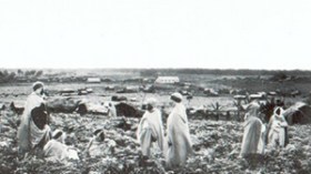 “فرنسا تنشر صورة سلبية عن الجزائر في كاليدونيا في محاولة لطمس الذاكرة”