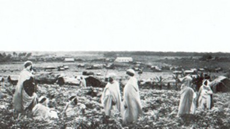 “فرنسا تنشر صورة سلبية عن الجزائر في كاليدونيا في محاولة لطمس الذاكرة”