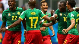 الأسود غير المروضة يلتهمون الفيلة.. وصقور الجديان يحتضرون