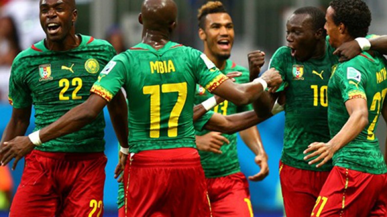 الأسود غير المروضة يلتهمون الفيلة.. وصقور الجديان يحتضرون